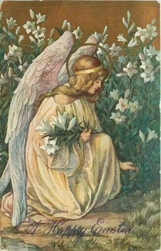 Entiendo que somos inmortales y dejo de sufrir cuando alguien muere – Armonia del Alma Kneeling Angel, Easter Lilies, Vintage Easter Cards, I Believe In Angels, Easter Lily, Angels Among Us, Angels In Heaven, Angel Pictures, Guardian Angels