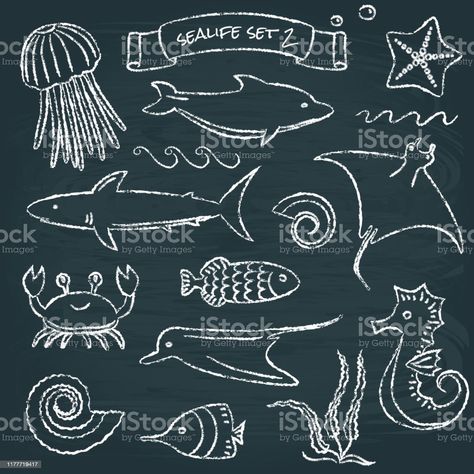 Painted Window Art, Window Art, Window Painting, Chalk Art, Sea Animals, Art Google, Chalk, Activities For Kids, Google Search