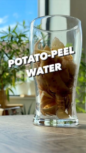 Armen Adamjan on Instagram: "Most people throw these peels out.. 😲 but you’re wasting precious nutrients! Do this instead, next time you peel some potatoes! 🥔🤩 . . . #potato #chips #potatoes #fertilizer #garden #gardening #plants #plantsofinstagram #gardenlife #lifehack #hacks #diy #recycle #sustainableliving #howto #plantfood #growyourownfood #plantstagram #creativeexplained #magic #organicgardening #instadaily #tiktokstar #plantfood" Potato Peel Fertilizer, Potato Peel Water For Plants, Potato Water For Plants, Potato Peels Uses For, Plant Remedies, Plant Patio, Creative Explained, Plant Fertilizer, Planting Potatoes