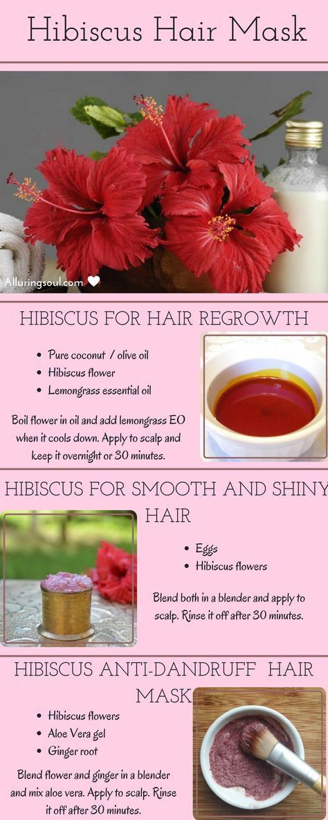 Hibiscus Hair Mask, Hibiscus For Hair, Overnight Hair Growth, Hair Mask For Dandruff, Hibiscus Hair, Hair Mask For Growth, Hair Dandruff, A Beautiful Flower, Diy Hair Care