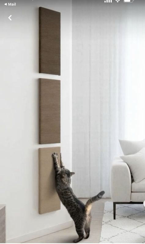 Cat Space Ideas Apartment, Catified Apartment, Cat Set Up In Apartment, Catification Ideas Diy, Cat Interior Design, Apartment Cat Ideas, Cat Organization, Catification Ideas, Cat Apartment