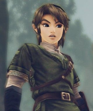 Zelda Screenshots, Zelda And Link, Zelda Twilight Princess, Hyrule Warriors, Legends Of Zelda, Link Zelda, Legend Of Zelda Breath, Zelda Art, Twilight Princess