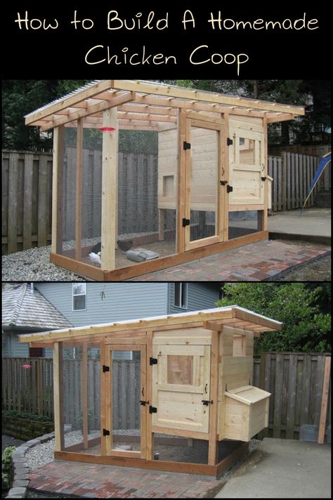 Chicken Coop With Run Plans Free, Small Chicken Coop For 4 Chickens, 5x5 Chicken Coop Plans, 4x4 Chicken Coop Diy, Basic Chicken Coop Plans, Free Chicken Coop Plans Easy, Simple Diy Chicken Coop Plans, Practical Chicken Coop, Chicken Coop For 12 Chickens