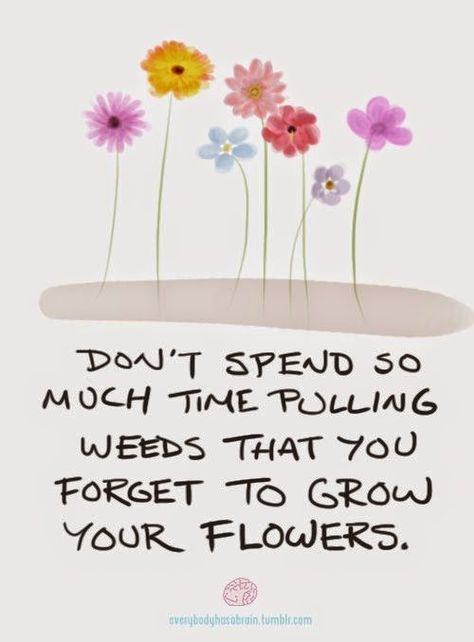 Don't spend so much time pulling weeds that you forget to grow your flowers ~ God is Heart Weeds Quotes, Pulling Weeds, Garden Quotes, Bible Verses Quotes, Beautiful Words, Inspire Me, Inspirational Words, Cool Words, Life Lessons