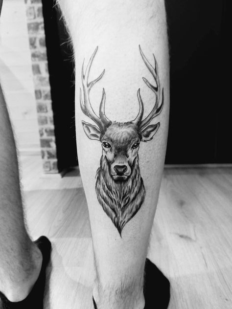 Deer Tattoo Men, Reindeer Tattoo, Antler Tattoos, Moose Tattoo, Deer Tattoo, Traditional Tattoo Sleeve, Knee Tattoo, Doodle Art Designs, Tattoo Sleeve