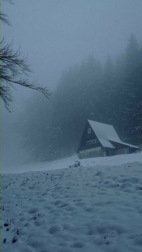 Cabin In The Forest, Heavy Snowfall, Dark Forest Aesthetic, Winter Scenery, Winter Pictures, Dark Photography, Winter Aesthetic, The Quiet, Dark Forest