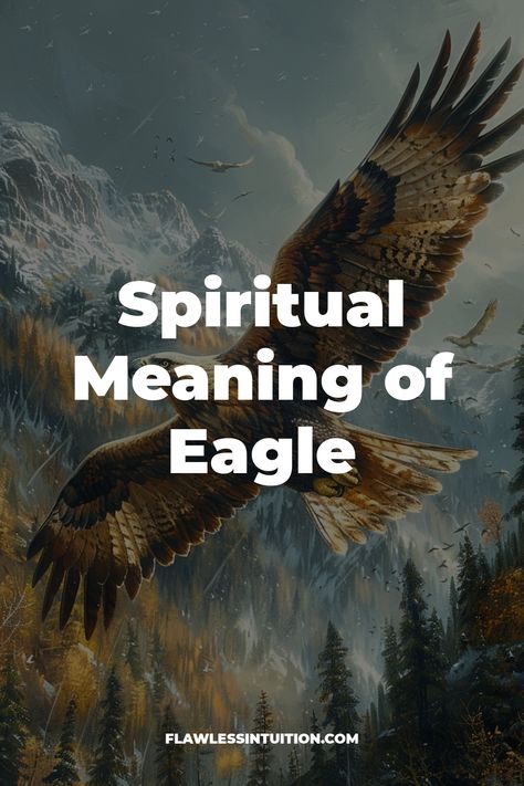 Eagle with spiritual symbolism. Bald Eagle Spiritual Meaning, Bird Symbolism, Native American Traditions, Angel Signs, Symbols Of Freedom, Spiritual Coach, Secrets Of The Universe, Spiritual Truth, Cycle Of Life