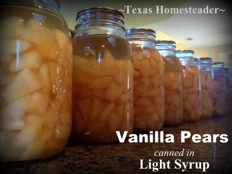 Fresh pear harvest season means vanilla pears water-bath canned in light syrup. I enjoy chilling a jar and Fresh pear harvest season means vanilla pears water-bath canned in light syrup. I enjoy chilling a jar and enjoyng the sweet pears as a light, delicious, healthy dessert in those hot summer months. #TexasHomesteader #Pear #Vanilla #HomeCanningthe sweet pears as a light, delicious, healthy dessert in those hot summer months. #TexasHomesteader #Pear #Vanilla #HomeCanning Canning Vanilla Pears, Vanilla Pears Canned, Canning Pears In Light Syrup, Water Bath Cooking, Homesteading Inspiration, Canning Jar Storage, Canning Pears, Pear Preserves, Cooking Pork Roast