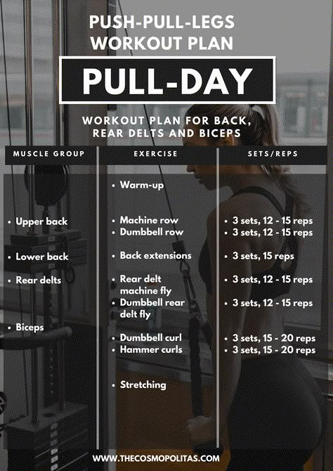 Push And Pull Workouts Gym, Push And Pull Exercises, Pull Exercises Gym Women, Pull Day Workout Dumbbell At Home, Pull Day Workout At Home No Equipment, Pull Strength Workout, Pull Push Workout Plan, Push Pull Legs Split Workout Routines, Pull Dat Workout