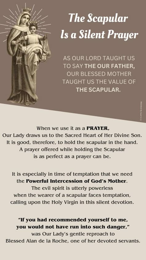 Surrender Prayer, Catholic Sacraments, Catholic Prayers Daily, Silent Prayer, Catholic Beliefs, Novena Prayers, Saint Quotes Catholic, Mount Carmel, Miracle Prayer