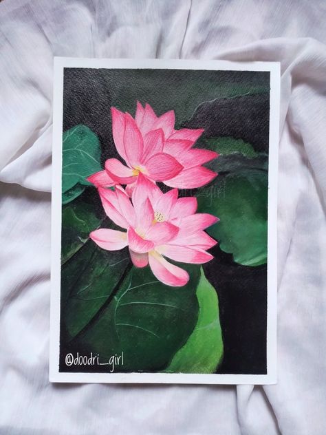 A5 Acrylic Painting, Lotus Painting Acrylic, Lotus Acrylic Painting, Guache Art, Lotus Drawing, Lotus Flower Painting, Texture Paintings, Lotus Painting, Painting References