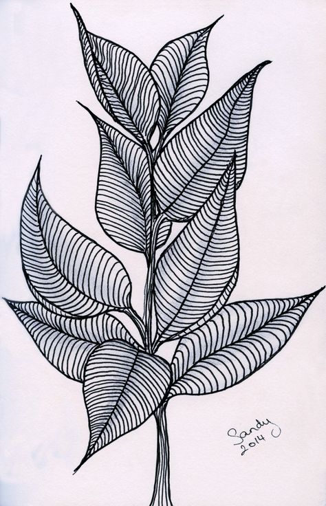 Leaves Zentangle, Black Paper Drawing, Doodle Art Drawing, Tangle Art, Zentangle Drawings, Doodle Art Designs, Mandala Design Art, Zen Art, Zentangle Art