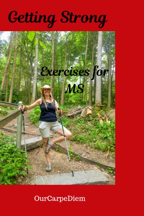 Strong Exercises, How To Improve Balance, Pilates Flexibility, Fall Risk, Exercise Program, Plank Challenge, Safety Precautions, Tree Pose, Balance Exercises