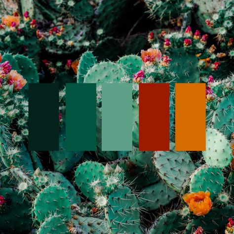 Jade Orange Color Palette, Colors That Compliment Burnt Orange, Black Orange Green Aesthetic, Orange Magenta Green Color Palette, Burn Orange Color Pallet, Miss Green Color Palette, Red Green Orange Color Scheme, Desert Pallet Colors, Bright Desert Color Palette