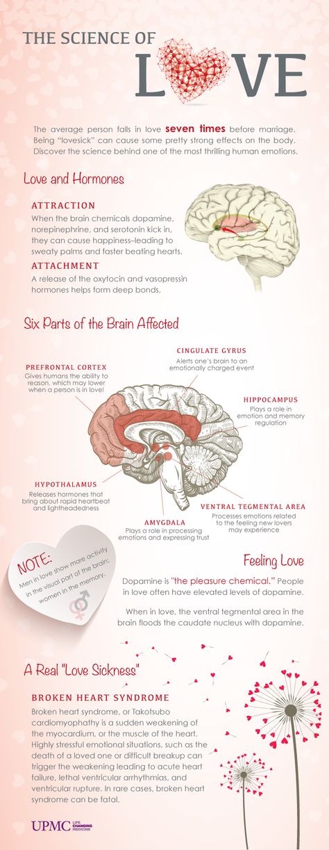 Science of Love Infographic: Can you die from a #brokenheart? Discover the science behind one of the most thrilling human emotions: love! #valentinesday Psychology Infographic, Love Psychology, Science Of Love, Childhood Love, Person Falling, Brain Facts, Love Facts, Before Marriage, Quotes By Emotions