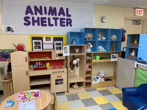 Veterinary Dramatic Play Center, Dramatic Play Animal Shelter, Animal Shelter Dramatic Play, Doll Playroom, Pet Study, Friday Activities, Daycare Classroom, Stray Animals, Pets Preschool Theme