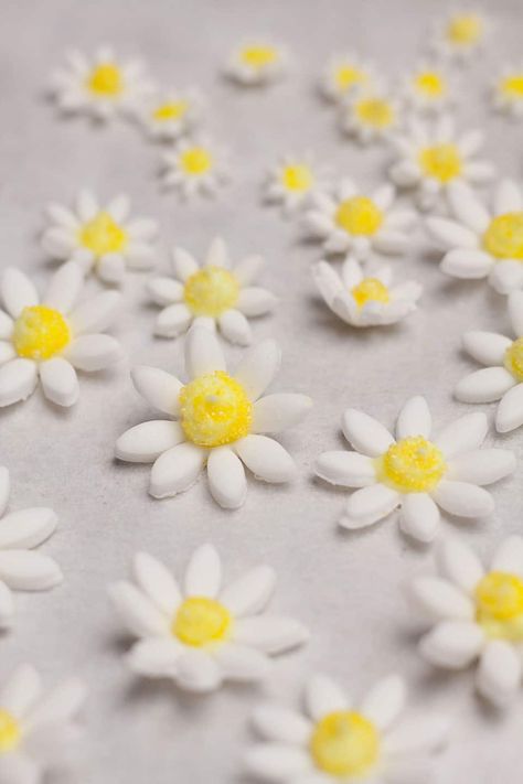 sugar paste daisies on a baking sheet Chocolate Daisy Flower, How To Make Fondant Daisies, Daisy Fondant Flowers, How To Make Daisies On A Cake, How To Make Daisies Out Of Frosting, Daisy Icing Flowers, How To Make Daisy Flowers For Cakes, Easy Daisy Cake, Daisy Food Ideas