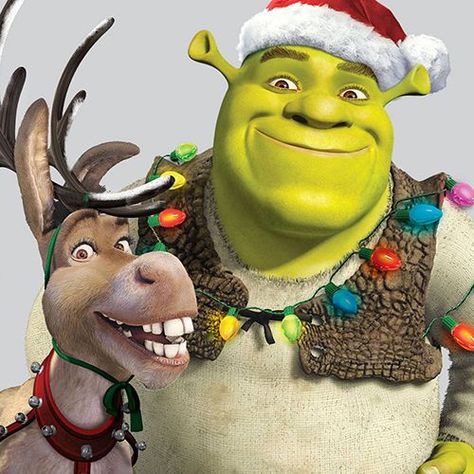 Shrek Christmas, Christmas Meme, Hello Kitty Christmas Tree, Christmas Tv, Christmas Memes, Xmas Wallpaper, Cute Christmas Wallpaper, Special Kids, Hello Kitty Christmas