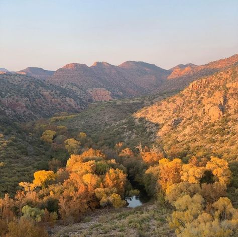 7 Arizona Autumn Photos That Will Make You Fall in Love With the State Arizona Autumn, Desert Gothic, Gothic Autumn, Autumn Photos, Year Vision Board, Aspen Trees, Flowers Wallpapers, Horse Ranch, Sonoran Desert