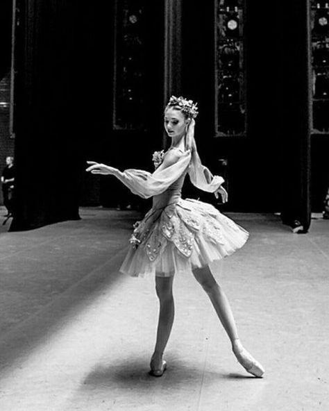 Kristina Webb, Anna Pavlova, Rudolf Nureyev, Ballet Academy, Ballet Beauty, Ballet Poses, Ballet Inspiration, Ballet Photos, Dancing Aesthetic