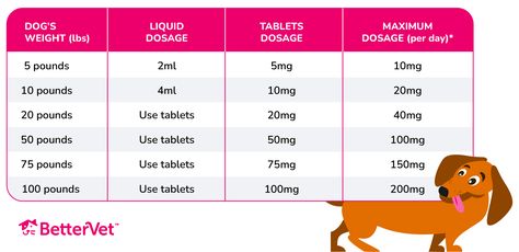 How Much Benadryl Can I Give My Dog? Is it Safe? | BetterVet Benadryl For Dogs Dosage, Benadryl For Dogs, Dog Benadryl, Happy Birthday Wishes Pics, Birthday Wishes Pics, Increase Heart Rate, Dog Weight, Health Heal, Pet Stuff