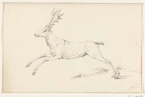 "Springend hert, naar links" Jean Bernard - Artwork on USEUM Public Domain Art, Reindeer Drawing, Deer Sketch, Leave Art, Deer Wall Art, Free Illustration Images, Winter Wall Art, Vintage Deer, Soul Art