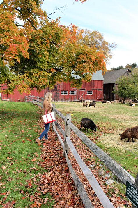 Connecticut Aesthetic, Fall In Connecticut, East Coast Aesthetic, New London Connecticut, New England Aesthetic, New England States, New England Travel, New England Fall, New England Style