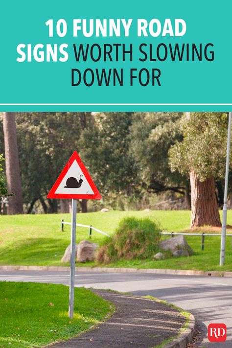 These odd signs will definitely make you laugh and spice up your everyday commute. Take a look, but don't take your eyes off the road! #funny #humor #roadsigns Potholes Humor Roads, Funny Speed Limit Signs, Funny Traffic Signs, Slow Down Signs Roads, Slow Down Signs Funny, Funny Road Signs Hilarious, Funny Symbols, Traffic Humor, Funny Signs Humor