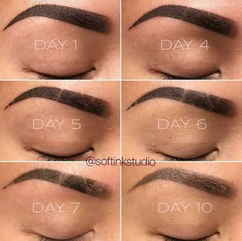 Eyebrow Tattoo Ombre Powder, Brow Tattoo Aftercare, Healed Powder Brows, Powder Brows After Care, Ombre Powder Brows Healing Process, Powdered Brows Before And After, Ombre Brows Healing Process, Microblading Vs Powder Brow, Ombre Powder Brows Before And After