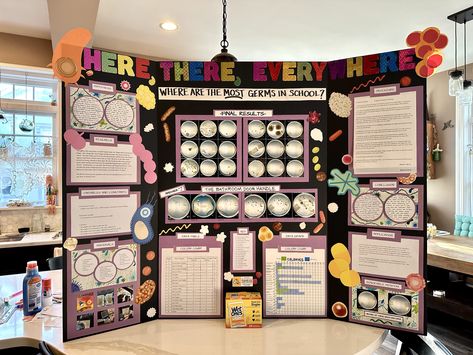 8th grade science fair bacteria tri-fold Bacteria Science Fair Project Board, Science Fair Board Layout, 8th Grade Science Fair Projects, Science Fair Display Board, Tri Fold Poster Board, Trifold Board, Science Exhibition Ideas, Tri Fold Poster, Tech Poster