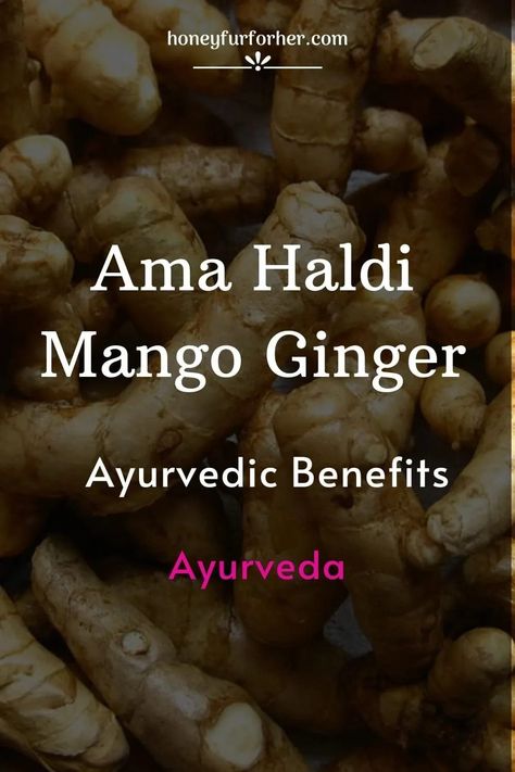 Amba Ama Haldi Mango Ginger Curcuma Amada Ayurvedic Benefits, Side Effects, Comparision of all curcuma species #ayurveda #ayurvedalife #herbalmedicine #medicinalherbs #honeyfurforher Benefits Of Mango, Mango Benefits, Postpartum Diet, Ayurveda Lifestyle, Herbal Skin Care, Ginger Benefits, Ayurvedic Herbs, Herbs For Health, Cough Remedies