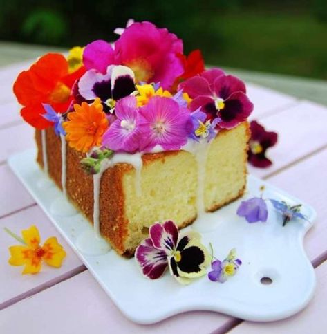 Edible Flowers Cake, Edible Flowers Recipes, Pastel Cupcakes, A Piece Of Cake, Flower Food, Cupcake Cake, Piece Of Cake, Izu, Edible Art