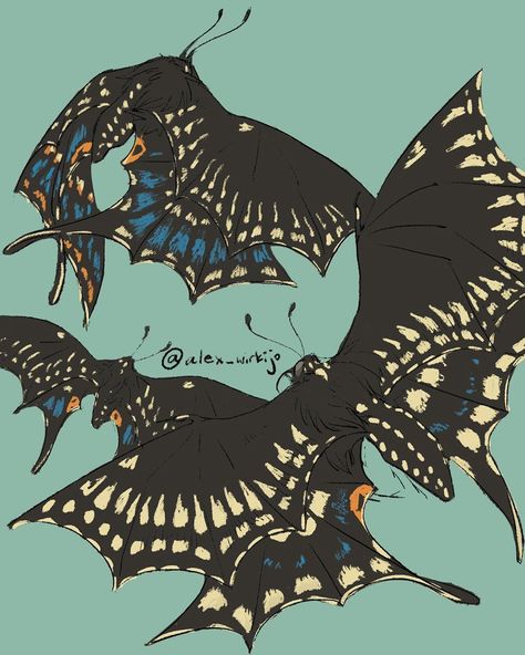 Butterfly Creature Concept Art, Butterfly Different Wings, Butterfly Monster Art, Person With Butterfly Wings, Butterfly Oc Art, Butterfly Drawing Reference, Butterfly Humanoid, Mothra Design, Anthro Butterfly