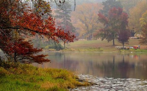 10 beautiful Texas destinations perfect for an autumn road trip Autumn Road Trip, Fall Foliage Trips, Garner State Park, Guadalupe Mountains National Park, Enchanted Rock, Texas Destinations, Guadalupe Mountains, Texas Parks, Fall Road Trip