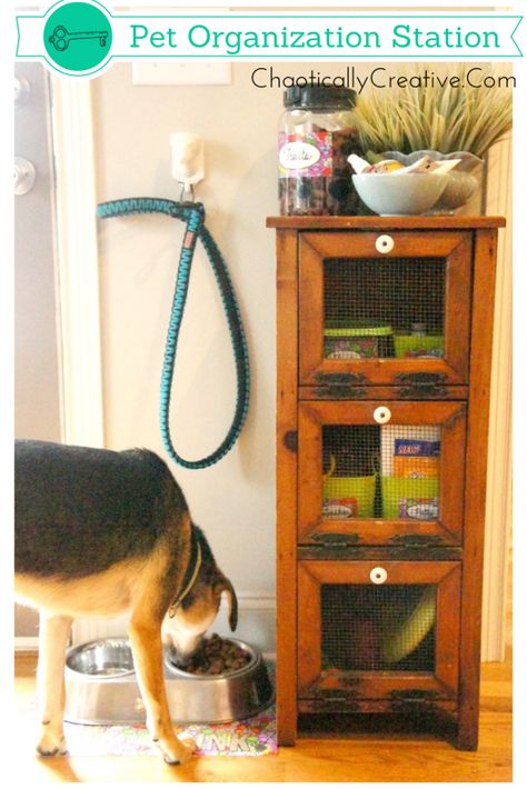 Pet Organization Station ... how to organize pet supplies Pet Supplies Organization, Potato Bin, Pet Station, Dog Organization, Pet Organization, Organization Station, Nice Ideas, Dog Backpack, Dog Rooms