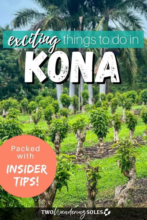 Kona Big Island, What To Do In Kona Hawaii, Kona Hawaii Things To Do In, Things To Do In Kona Hawaii, Big Island Hawaii Things To Do, Hawaii Tips, Big Island Hawaii Beaches, Kona Island, Hawaii Scrapbook