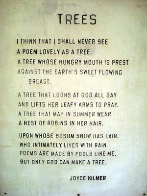 Tree Poetry, Rain Poems, Joyce Kilmer, Tree Poem, Life Quotes Love, Poem Quotes, A Poem, Nature Quotes, Robins