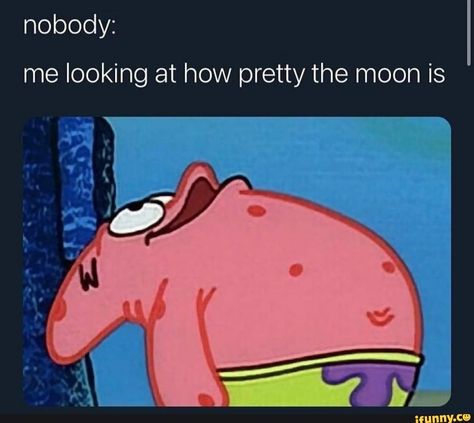 Tap to see the meme Sun Aquarius, Virgo Sun, Aquarius Moon, Aquarius Sign, Spongebob Memes, Memes Br, Funny Reaction Pictures, Funny Relatable Quotes, Really Funny Pictures