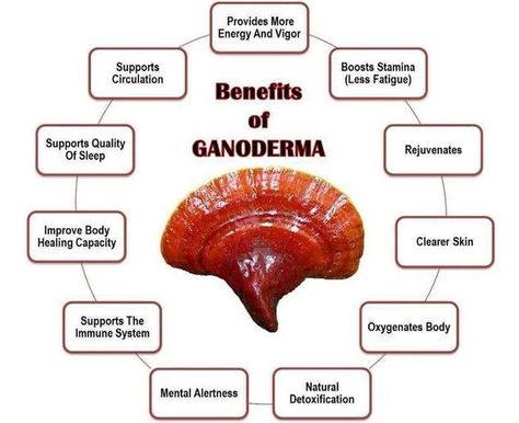 http://mycoffeetea.com/  #Ganoderma #lucidum #Benefits Ganoderma Benefits, Organo Gold Coffee, Gano Excel, Reishi Mushrooms, Organo Gold, Coffee Health, Mushroom Benefits, Tea Soap, Health And Wealth