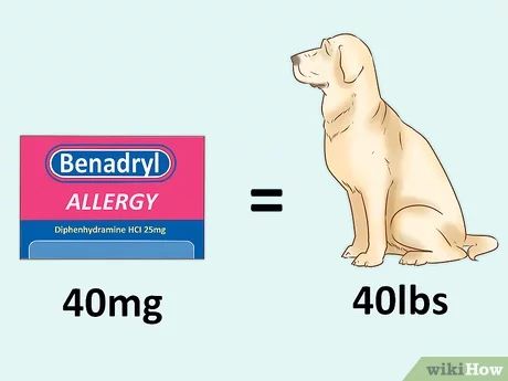 Benadryl For Dogs Dosage, Dog Benadryl, Pet Medicine, Dog Remedies, Animal Medicine, Home Health Remedies, Allergy Symptoms, Dog Allergies, Home Health