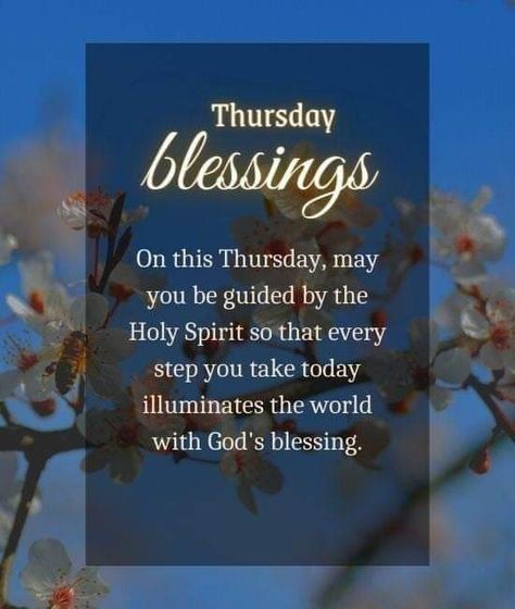 Good Morning Thankful Thursday, Thankful Thursday Quotes, Positive Good Night Quotes, Divine Inspiration And Prayers, Thoughtful Thursday, Thursday Greetings, Thursday Blessings, Morning Thursday, Matthew 2