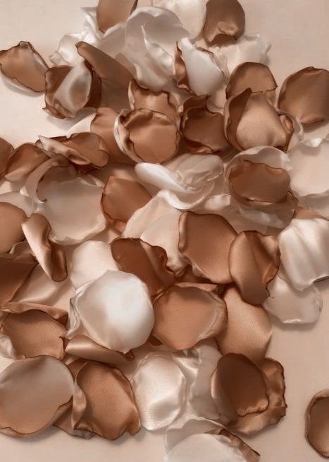 Neutral Tones Aesthetic, Rose Gold Aesthetic, Highlights Cover, Perfume Display, Cream Aesthetic, Beige Wallpaper, Gold Aesthetic, Brown Wallpaper, Beige Aesthetic