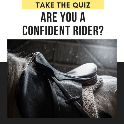 Horse Quizzes, English Horseback Riding, Horse Riding School, Western Horse Riding, Stable Ideas, Horseback Riding Lessons, Horse Lessons, Horse Movies, Horse Riding Quotes