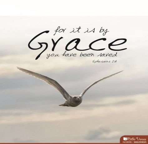 On the Wings of Grace ~ CHRISTian poetry by deborah ann ~ Grace Bible Verses, Christian Quotes Scriptures, Tattoo Quotes About Strength, Bible Verse Tattoos, Tattoo Quotes About Life, Verses About Love, Bible Verses About Strength, Bible Verses About Love, Inspirational Bible Verses