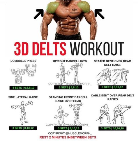 6,016 Likes, 32 Comments - MuscleMorph® (@musclemorph_) on Instagram: “SHOULDER DAY ➖ ✅ Want Full 3D Shoulders? Hit 'Save' & Try These Out Next Time FOLLOW…” Delts Workout, Best Shoulder Workout, Shoulder Training, Shoulder Exercises, Muscle Abdominal, Shoulder Day, Weight Training Workouts, Workout Chart, Chest Workouts