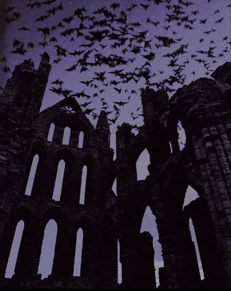 Nona Limmen, Goth Architecture, Purple Goth, Victorian Vampire, Dark Castle, Cowboy Aesthetic, Gothic Castle, Evil Witch, The Dark One