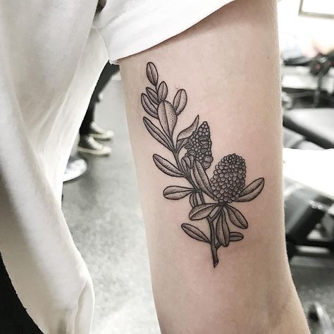 Banksia Tattoo, Australian Native, Tattoo Inspo, The Trip, Thank You So Much, I Tattoo, Flower Tattoo, Tatting, Ruby