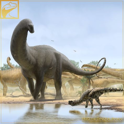 Fredward95 on Twitter: "Better late than never. A Marshosaurus' much needed drink is interrupted by an aggressive bull Apatosaurus. #MorrisonFormationWeek #MorrisonMay #InternationalDinosaurDay #JurassicJune… https://t.co/Jq7hsWmfF2" Prehistoric Mammals, Dry River, Prehistoric Wildlife, Animal Teeth, Dinosaur Pictures, Prehistoric World, Ancient Animals, Paleo Art, Extinct Animals