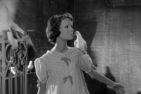 Georges Franju - Eyes without a face Eyes Without A Face, A Face