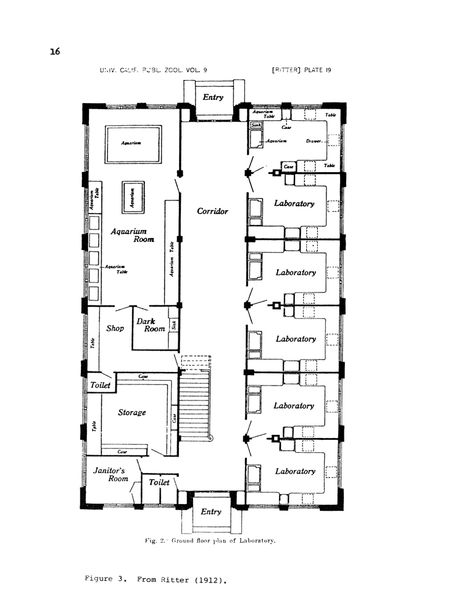 Scripps Marine Biological Laboratory, La Jolla, 1912, Irving Gill, architect | Lower floor plan Laboratory Design Architecture, Laboratory Floor Plan, Lab Floor Plan, Irving Gill, Blocksburg Ideas, Dark Architecture, Labs Plan, Castle Life, Medical Clinic Design